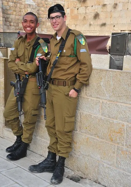 《以色列新军武》：揭秘中东强国的军事科技，探索战争与和平的边界