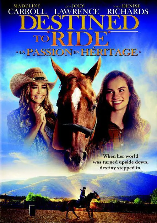 《骏马开心果》：一场横冲直撞的爆笑冒险，开心果化身骏马，让你笑到喷饭！