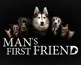 揭秘人类与AI友情的爆笑冒险：《人类第一个朋友》影评解析