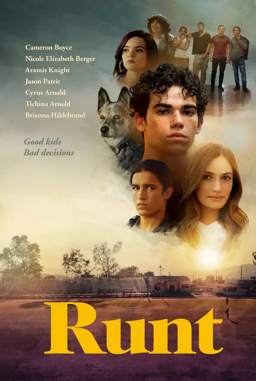 《欺凌》：深渊中的人性拷问，校园暴力下的无声呐喊与救赎之路