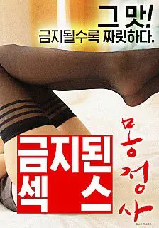 禁止性爱:梦遗 海报