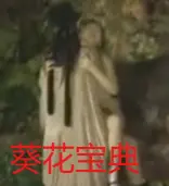 《葵花宝典》：东方奇幻巅峰之作，看完我只想说YYDS！